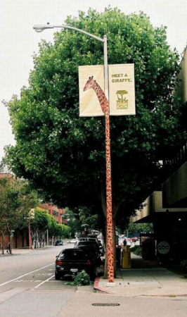 Excelente propuesta de Ambient Marketing del San Francisco Zoo